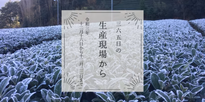 霜一面の茶畑｡寒〜い冬がおいしいお茶を作るのね🍵12月16日〜12月22日の生産現場から、今週の31投稿！