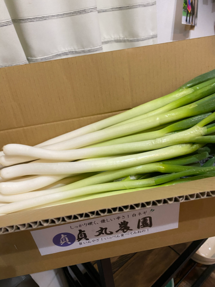 おまけ付き お家時間応援sale しっかり硬く 優しい辛さ白ネギ2級 農家漁師から産地直送の通販 ポケットマルシェ