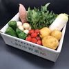 オーガニック野菜セット「常温便」（有機JAS認証・JGAP認証　有機野菜）　