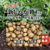 春じゃがいも(ニシユタカ) 無農薬 掘りたて10kg LM混合 土付き