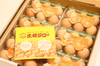 【定期便】土佐ジロー卵　36ヶ入り