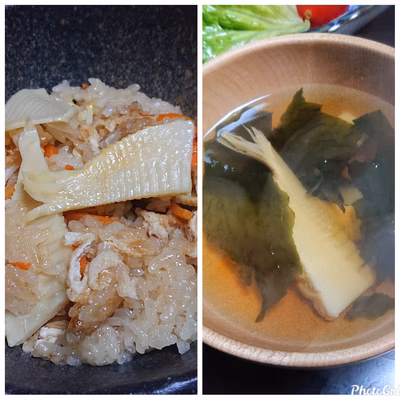 みんなの投稿の画像