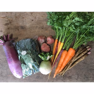 季節のお野菜●ミニセット (農薬・化学肥料不使用)