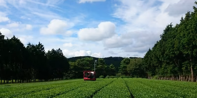 売れ筋No.1商品、収穫完了☆