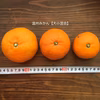 【福袋2025】懐かしい味の温州みかん【減農薬】