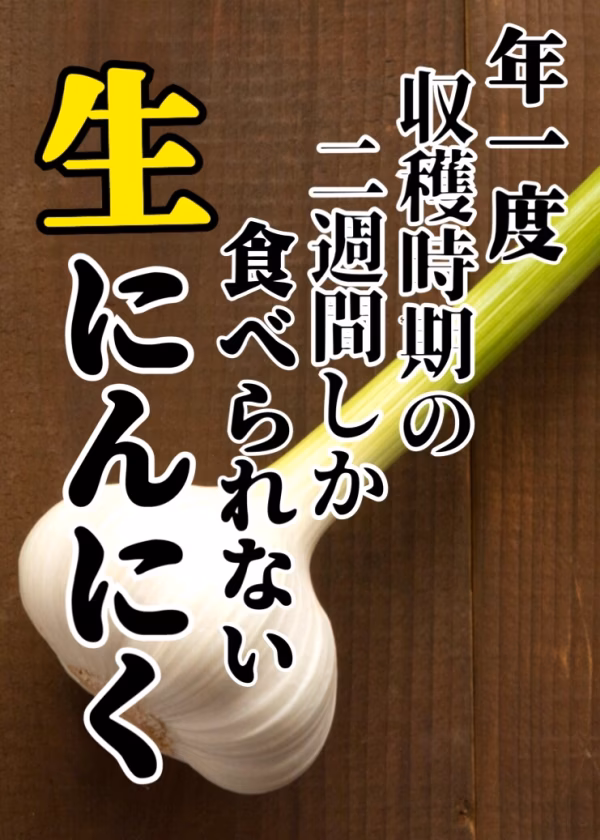 人生に一度は食べてみたい！青森県産「生」にんにく800g