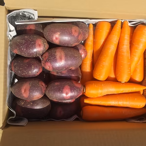 じゃがいもデストロイヤー、にんじん詰め合わせセット