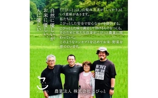 こぴっと米【極】大粒厳選特別栽培米2Kg✖️6袋・12Kg新米