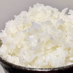 ☆早期予約特売キャンペーン☆【限定10袋】令和7年産 新米 鶴喰米 10kg