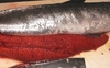 秋鮭　メス　約2.5kg 北海道寿都産