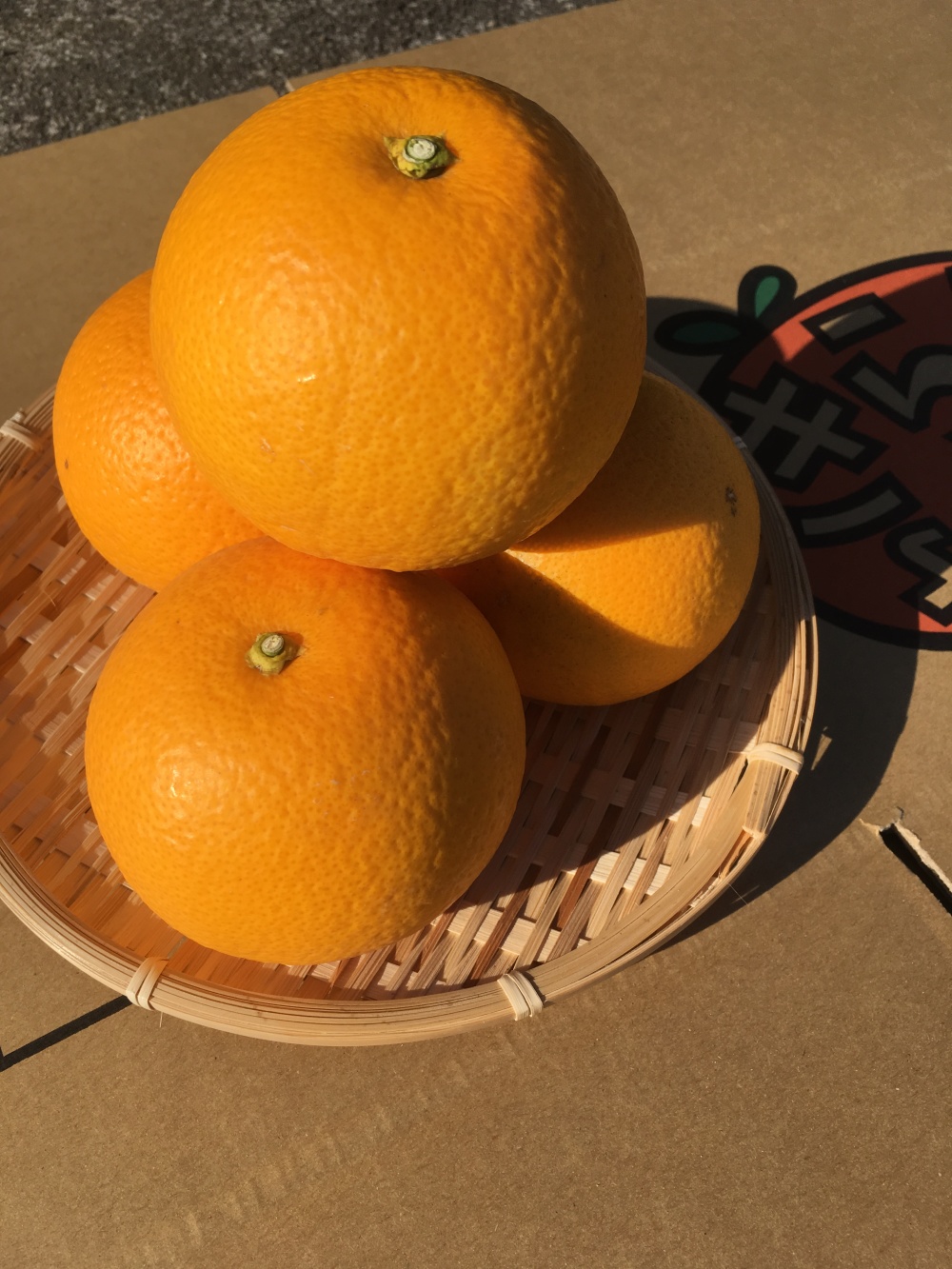 [産地直送]☆訳あり☆八朔4キロ 訳あり八朔4キロ