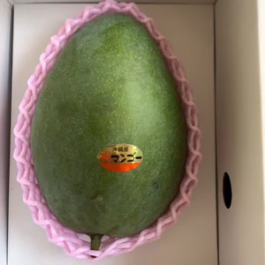 《贈答用キーツーマンゴー》　1kg〜　１玉 　