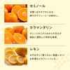柑橘詰合せ（ご自宅用）