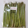 《お試し》春芽アスパラガス　訳あり500g
