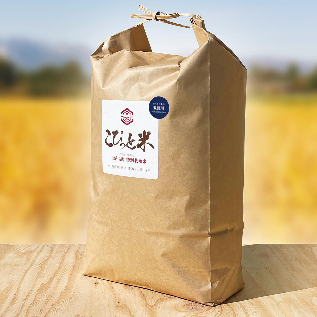 R7年産五百川玄米10㎏ 超早場米・新米】 千葉県いすみ産 五百川 玄米10kg 令和7年産（精米
