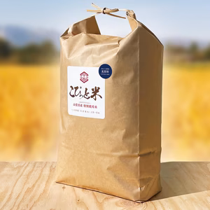 《新米》R7年産【五百川】白米・10kg　特別栽培米　こぴっと米