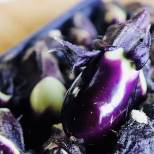 【期間限定商品】剪定による小さな茄子‼️山東産夏秋ナス