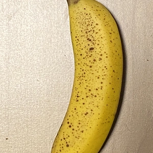 おうちで追熟を楽しむ 千葉県産バナナ！