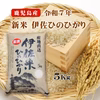 新米 令和7年産 鹿児島県伊佐市伊佐米5Kg