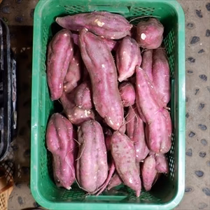 自然栽培　野菜セット+さつまいも