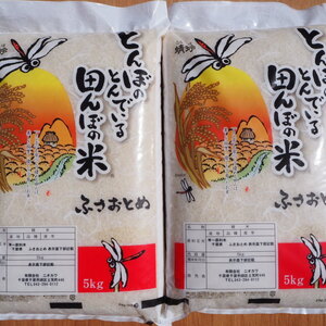 令和2年産　ふさおとめ　白米　10kg