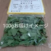 【摘みたてお届け】スペアミント☆ハーブティーやソースに！