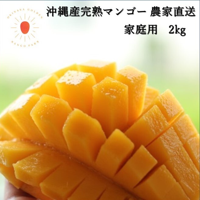 沖縄　宮古島産　完熟マンゴー4kg　業務用（訳あり）産地直送　農家直送 沖縄 宮古島産 完熟マンゴー4kg 業務用（訳あり）産地直送 農家