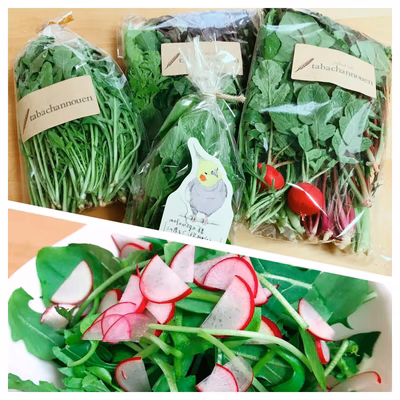 みんなの投稿の画像