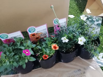 みんなの投稿の画像