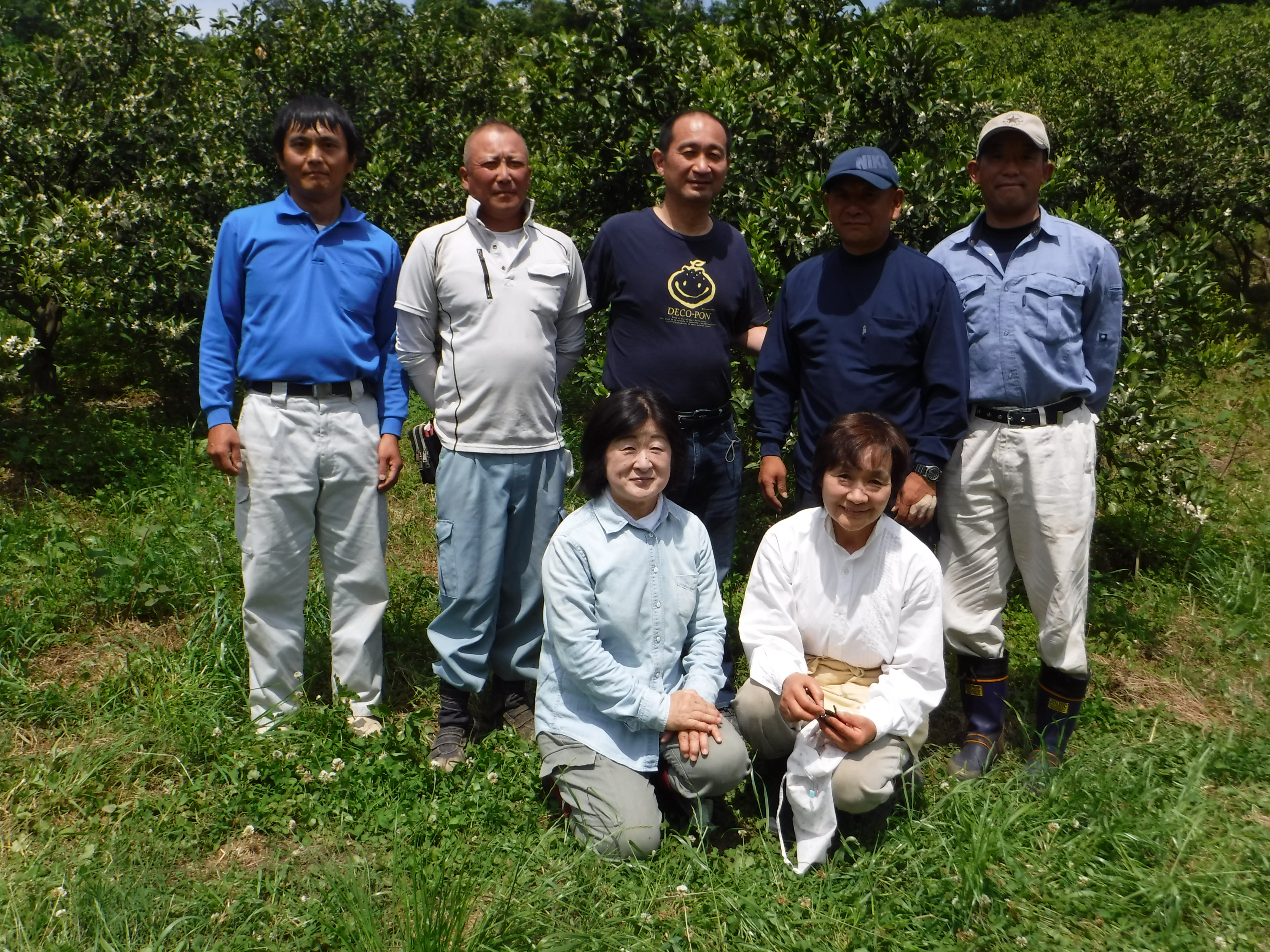 愛媛県今治市｜有限会社 三皿園｜梅田丈史さんの生産者プロフィール