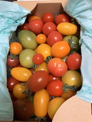 みんなの投稿の画像