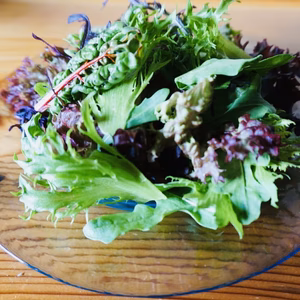 ▪️栽培期間中農薬不使用▪️こだわりのサラダ派へヨーロピアンサラダ(お試し)