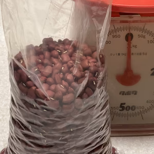 ささげ豆450g桜島の大自然　無農薬　有機肥料　除草剤不使用