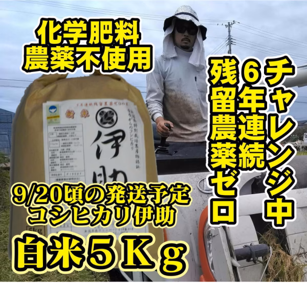 【9/20頃発送】新潟県産コシ伊助残留農薬ゼロ６年連続挑戦中  白米５Ｋｇ