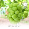G-1 花笑み農園　岡山の『瀬戸ジャイアンツ』約１kg（２房）9月26日～発送　