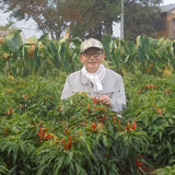 飯島 朗 | エコファーム飯島