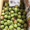 訳あり【Lー3L混合】  南高梅　青梅