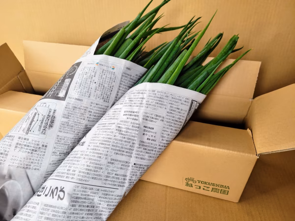 【分けやすい】ねっこ農園の青ネギ束