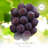 P-1 花笑み農園　岡山の『ニューピオーネ』約１kg（2房）9/8～発送
