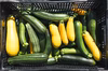 【月１定期】旬の有機野菜セット8~9品＜有機JAS認証＞