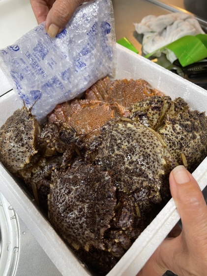 毛ガニとクリガニの食べ比べセット 農家漁師から産地直送の通販 ポケットマルシェ