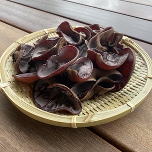 プルプルコリコリ！免疫力アップ純国産生キクラゲ　500g