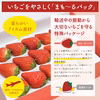 厳選完熟いちご 　ラブソング　苺まも～るパック 