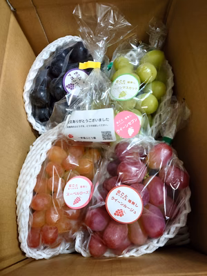 みんなの投稿の画像