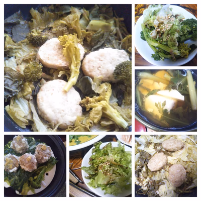 みんなの投稿の画像