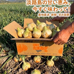 『少し訳あり』極甘！！あま〜くて水々しい淡路島産新玉ねぎ『七宝』