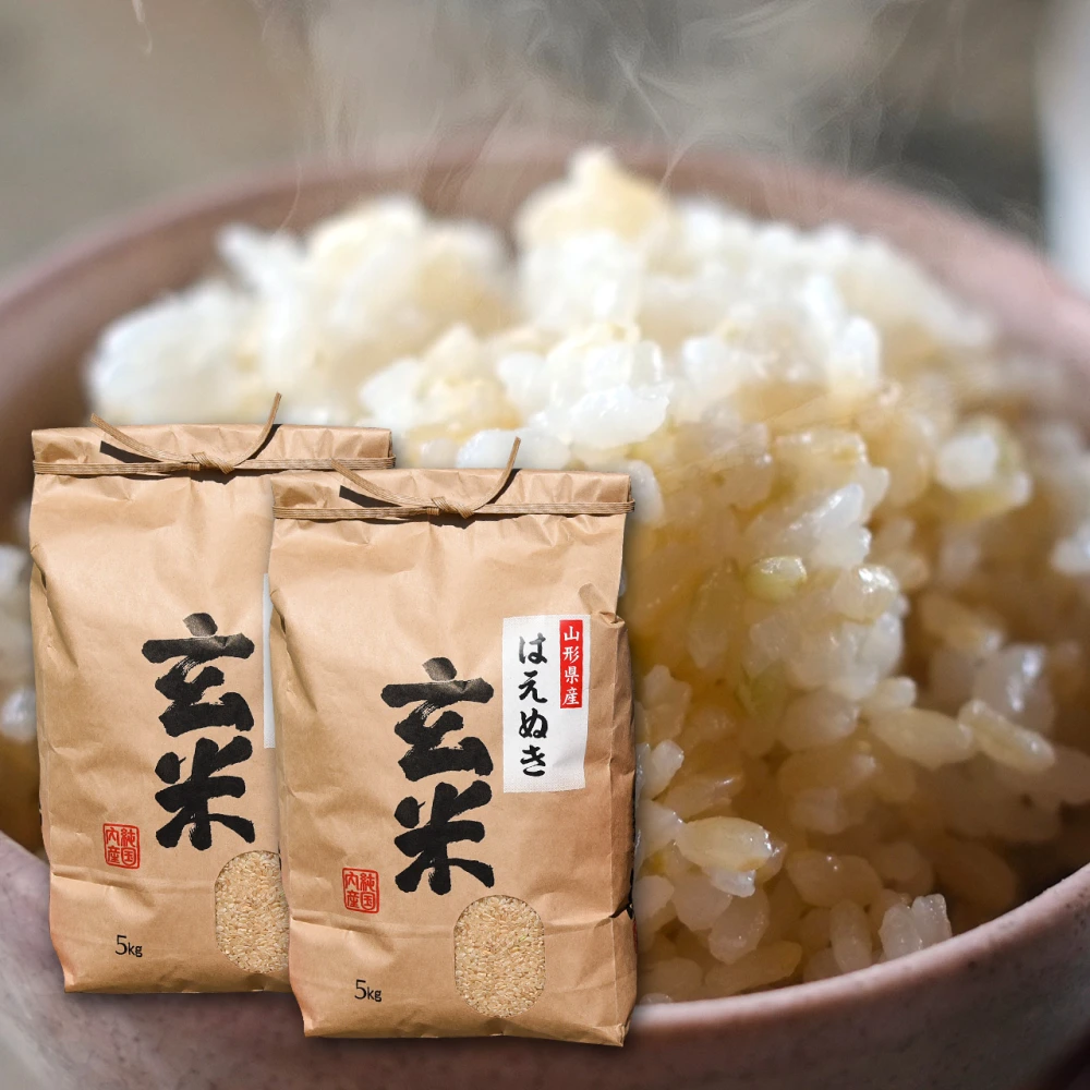 【送料無料】令和5年産 山形県産 はえぬき玄米 10kg（5kg×2袋）