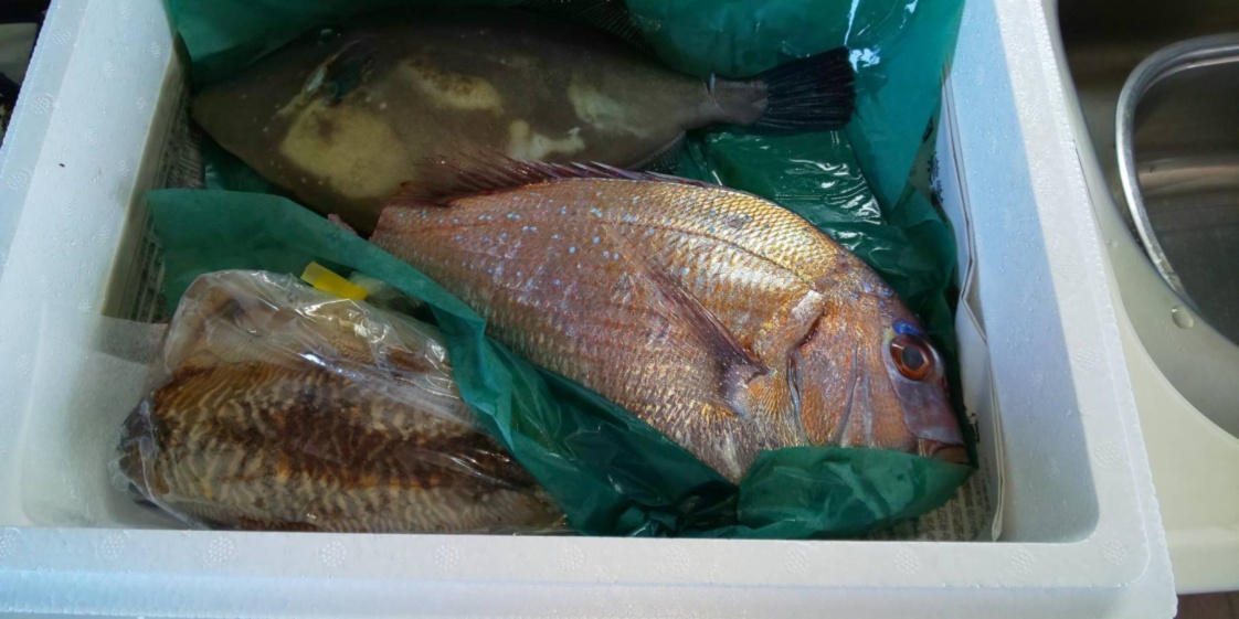 本日1名様限定 カワハギ 1 2kg前後 3匹 農家漁師から産地直送の通販 ポケットマルシェ