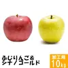 ふじりんご&シナノゴールド【訳あり10kg】食べ比べ☆10月下旬出荷開始