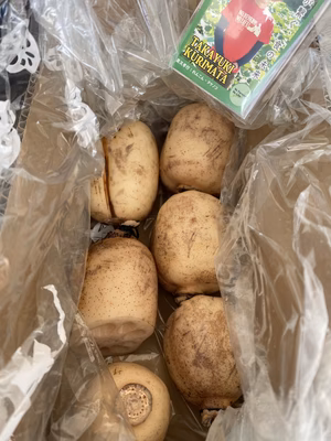 みんなの投稿の画像